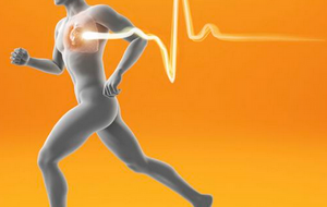 Entraînements semi-marathon