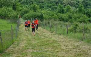 6828bbaa095b2_WhatsAppImage2025051710.56.490c116675.jpg