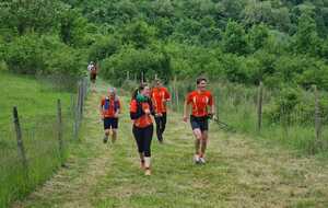 6828bbaa80ac1_WhatsAppImage2025051710.56.49ec5bea68.jpg