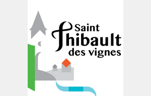 Foulées de St Thibault les Vignes (Delphine)